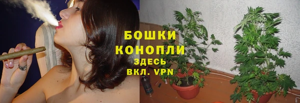сатива Наволоки