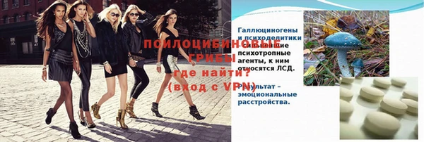 дурь Надым