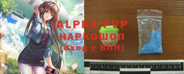 прущие грибы Ачинск