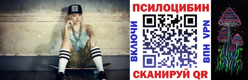 гидра онион  Находка  Псилоцибиновые грибы Psilocybe 