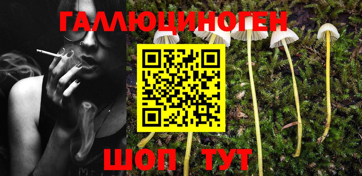 Псилоцибиновые грибы мухоморы  Вход с VPN  Находка  Галлюциногенные грибы GOLDEN TEACHER 
